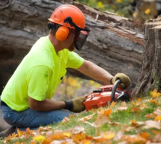 tree services King City